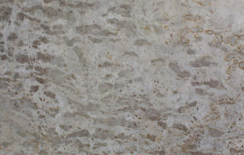 SEA SHELL