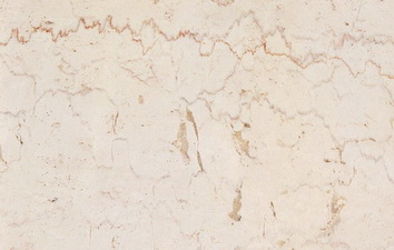 trani fiorito